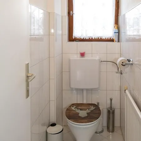 Dağ evi Maresi Schladming