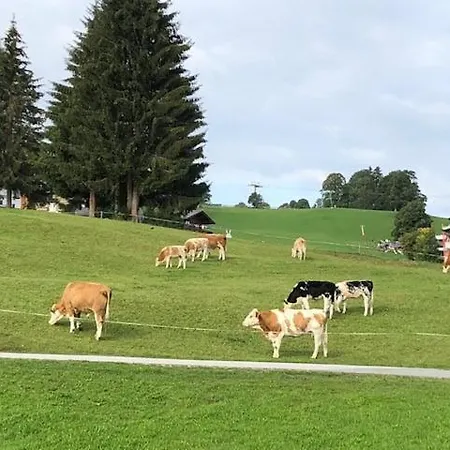 Maresi